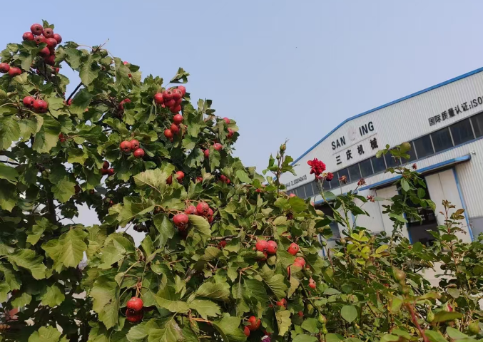 163am银河线路(中国)有限公司